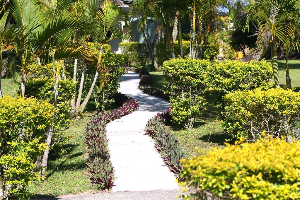 Mango Bay Resort Namatakula Exteriör bild
